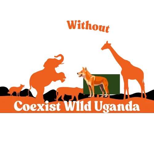 harmony in nature logo design (9)